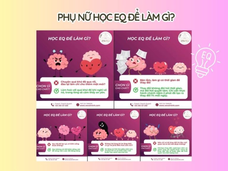banner web Ve voi minh 5